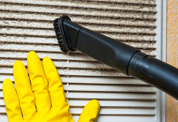 HVAC System Cleaning in LA